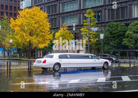 Marunouchi, gare de Tokyo, Tokyo. (Novembre 2022) Banque D'Images