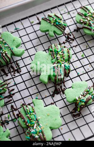 Biscuits Shamrock avec glaçage au chocolat et saupoudrer pour la journée St Patrick sur une grille de refroidissement Banque D'Images