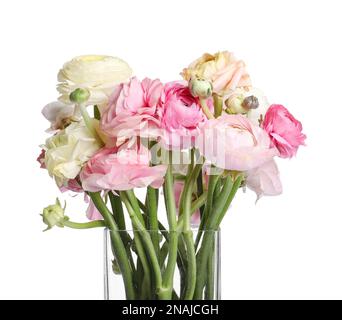 Belles fleurs ranunculus dans vase en verre isolé sur blanc Banque D'Images