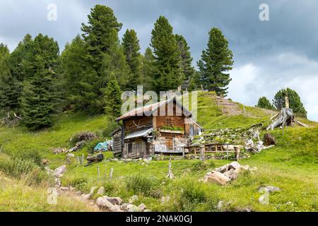 TONADICO, TRENTIN/ITALIE - AOÛT 11 : refuge dans le Parc naturel de Paneveggio Pale di San Martino à Tonadico, Trentin, Italie le 11 août 2020 Banque D'Images