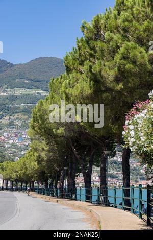 LAC D'ISEO, LOMBARDIE/ITALIE - AOÛT 15 : vue sur la route bordée d'atree le long des rives du lac d'Iseo en Lombardie sur 15 août 2020. Une personne non identifiée Banque D'Images