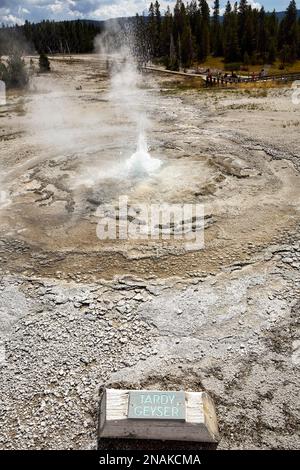 Geyser en retard dans le parc national de Yellowstone. Wyoming. ÉTATS-UNIS Banque D'Images