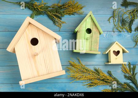 De nombreuses maisons d'oiseaux et fleurs mimosa sur fond bleu clair en bois. Composition de la pose à plat à ressort Banque D'Images