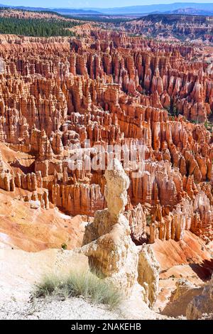 Point d'inspiration dans le parc national de Bryce Canyon. Utah États-Unis Banque D'Images