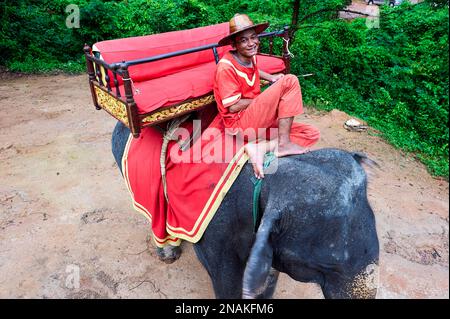 Un chauffeur d'éléphant attendant les touristes au temple d'Angkor Wat. Cambodge Banque D'Images
