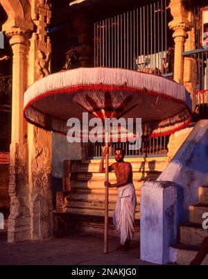 Temple Priest tenant un grand parapluie dans le temple de Varadharaja Perumal à Kancheepuram, Tamil Nadu, Inde, Asie Banque D'Images