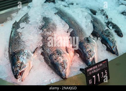 Saumon exposé au marché aux poissons du district de Mina, dans le Vieux-Port de Doha, au Qatar Banque D'Images