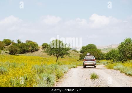 Vue arrière 4WD conduite en véhicule sur route de gravier hors route dans le parc national de Vashlovani sauvage. Visite d'exploration en plein air dans les montagnes du caucase dans Banque D'Images