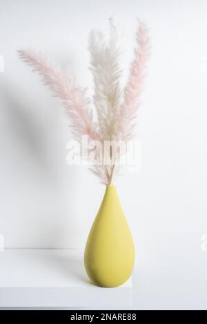 image verticale d'une étagère blanche avec petit vase en porcelaine jaune et plantes séchées décoratives Banque D'Images