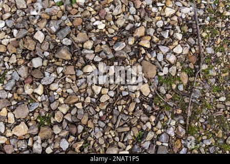 sol recouvert de pierres et de bâtons dans le champ. Arrière-plan de texture de pierre vectorielle Banque D'Images