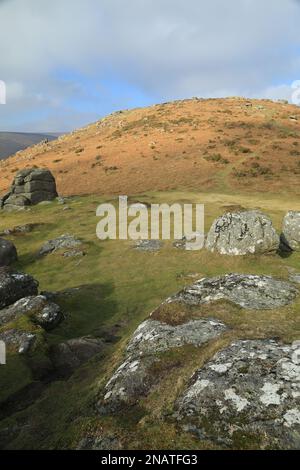 Vue vers Chinkwell tor depuis Bell Tor, près de Widecombe, Dartmoor, Angleterre, Royaume-Uni Banque D'Images