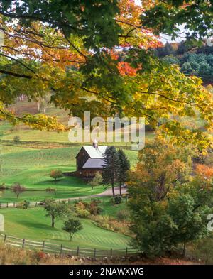 AUTOMNE FEUILLAGE GRIS FERME WOODSTOCK VERMONT ÉTATS-UNIS Banque D'Images
