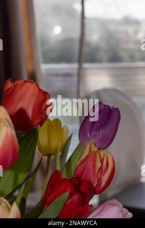 tulipes à l'intérieur. Colorfull poussant dans un vase. Banque D'Images