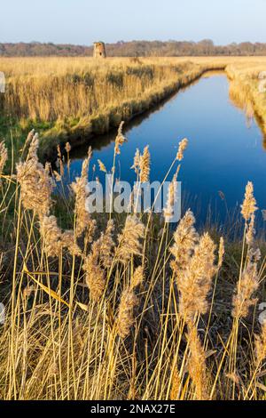 Westwood Marshes Mill, Walberswick, Suffolk Banque D'Images