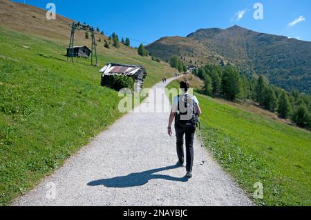Randonnée vers Monte Elmo (Mont Halm), vallée de la Pusteria, Trentin-Haut-Adige, Italie Banque D'Images