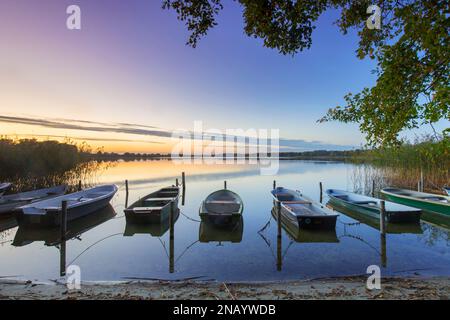Barques / rames sur la rive du lac de la Méchow / Große Mechowsee au coucher du soleil près de Feldberg en automne / automne, Mecklembourg-Poméranie-Occidentale, Allemagne Banque D'Images