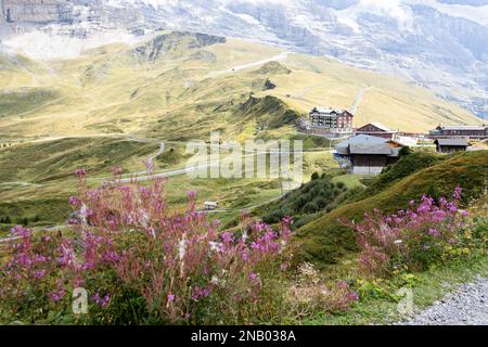 Sentier de randonnée de Mannlichen à Wengen, en arrivant à la gare de Kleine Schedegg. Alpes alpines, point de vue du glacier Eiger, Alpes bernoises. Banque D'Images