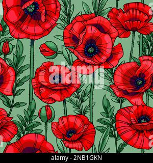 motif vectoriel sans couture pour les coquelicots rouges écartés Banque D'Images