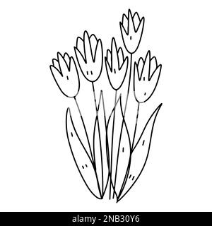 Tulipes en forme de doodle dessinées à la main. Fleur à contour noir sur fond blanc. Illustration vectorielle. Page de coloriage Illustration de Vecteur