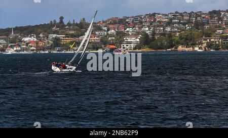 494 Voilier en direction de Watsons Bay sur la péninsule de South Head de Port Jackson. Sydney-Australie. Banque D'Images