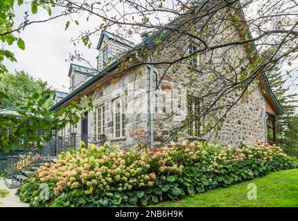 Arrière de l'ancienne maison en pierre de champ de style chalet Canadiana de 1826 avec toit en tôle de couture debout verte, solarium et arbustes Hydrangea, plantes Hosta. Banque D'Images