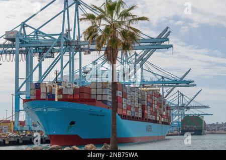 Le porte-conteneurs Clementine Maersk montré accosté aux terminaux APM. Banque D'Images