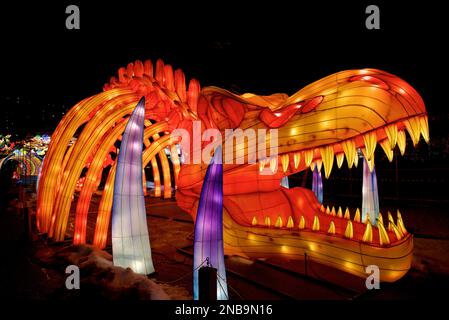 Lantern Festival à Toronto - Un squelette osseux d'un dinosaure est exposé à l'extérieur Banque D'Images