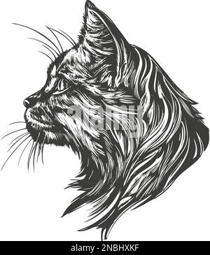 cat, dessin d'illustration vectorielle dessiné à la main. Illustration de Vecteur