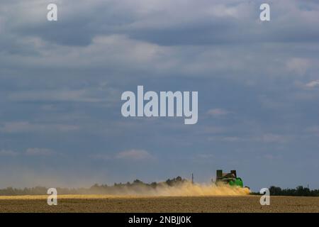 La moissonneuse-batteuse récolte du blé mûr. Des oreilles mûres de champ d'or sur le fond ciel nuageux. . Concept d'une récolte riche. Image Agriculture. Banque D'Images