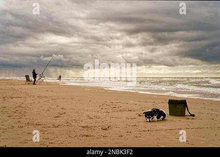 Mer du Nord, Un chien allongé sur la plage à côté de la boîte de son propriétaire, d'autres pêcheurs à la ligne en arrière-plan. Banque D'Images