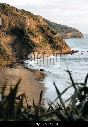 Alors que le soleil commence à se baigner sous l'horizon, en jetant une lueur dorée sur le paysage, les falaises escarpées de la côte de la plage néo-zélandaise prennent vie. Banque D'Images