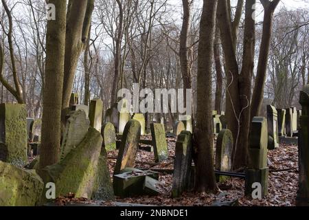 Tombes dans le cimetière juif de Varsovie - l'un des plus grands cimetières juifs d'Europe et du monde, rue Okopowa, Varsovie Pologne Banque D'Images