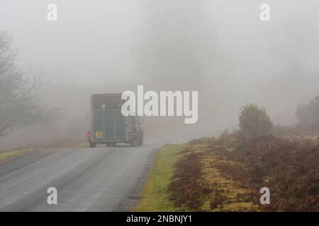 Conduire une boîte à cheval dans le brouillard, New Forest, Hampshire, Angleterre, Royaume-Uni, 14 février 2023, Météo. Brumeux. Banque D'Images