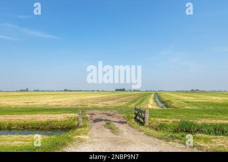 Porte ouverte dans les terres agricoles, prairie vert clair avec ciel élevé et horizon clair et espace de copie Banque D'Images