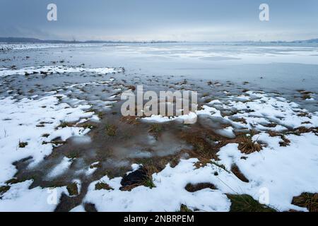 Fonte de la neige avec de l'eau sur la prairie et ciel nuageux, jour de janvier à Czulczyce, Pologne. Banque D'Images