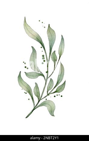 Aquarelle élément designer de feuilles vertes printemps, verdure art feuillage naturel feuilles herbes dans le style aquarelle avec le chemin d'écrêtage. Décoratif Banque D'Images