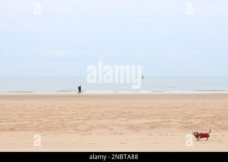 Ostende, Oostende est une ville côtière et une commune située dans la province de Flandre Occidentale, dans la région flamande de Belgique. Banque D'Images