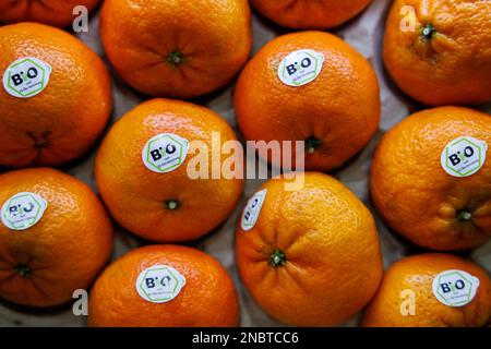 Nuremberg, Allemagne. 14th févr. 2023. Le sceau biologique est collé sur des oranges sur un stand au salon Biofach. De 14 février à 17, 2023, au salon mondial de l'alimentation biologique Biofach et au salon des cosmétiques naturels Vivaness, 2765 exposants de 95 pays présentent des produits de l'industrie des aliments biologiques et des cosmétiques naturels. Credit: Daniel Karmann/dpa/Alay Live News Banque D'Images