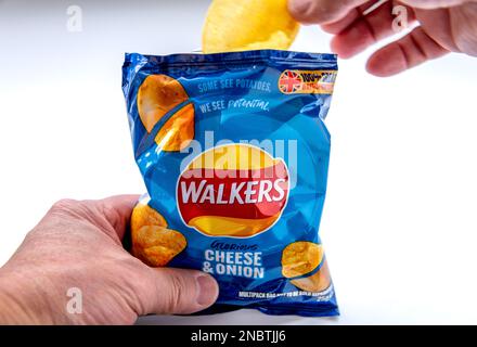 Londres. ROYAUME-UNI-02.12.2023. Personne tenant et prenant le contenu d'un paquet de chips de pommes de terre Walkers isolées en blanc. Banque D'Images