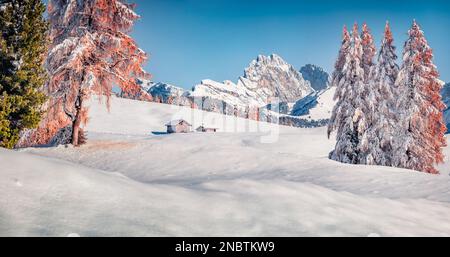 Paysage d'hiver intact. Vue imprenable le matin sur le village d'Alpe di Siusi avec le pic de Seceda en arrière-plan. Splendide scène d'hiver des Alpes Dolomites, l'Ity Banque D'Images