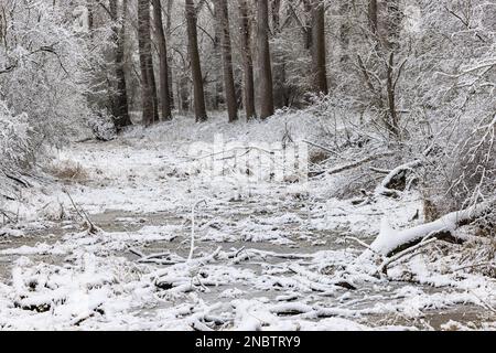 Paysage d'hiver aux couleurs pastel avec neige et arbres sur un plan d'eau gelé Banque D'Images