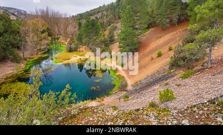 Monument naturel de la Fuentona, la Fuentona de Muriel, zone naturelle protégée, rivière Abión, Cabrejas del Pinar, Soria, Castille Leon, Espagne, Europe Banque D'Images