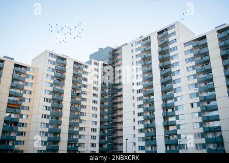 Un troupeau d'oiseaux survole une grande tour dans le ghetto. Au-dessus du bloc, le soleil brille et l'oiseau sonne. Banque D'Images