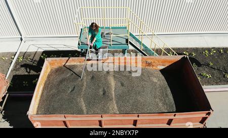 CHERKASY, UKRAINE - 24 AOÛT 2018 : une femme, employée d'une entreprise agricole, prélève des échantillons de grains et de graines de tournesol dans un tube pour analyse en laboratoire. Photo de haute qualité Banque D'Images