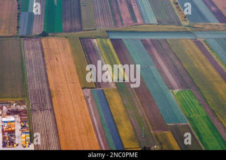Champs colorés vus par la fenêtre de l'avion près de l'aéroport de Varsovie Banque D'Images