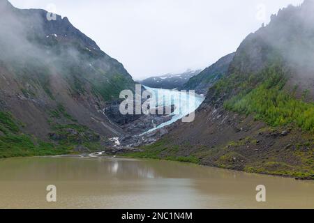 Retraitement de la langue glaciaire du glacier Bear près de Stewart, parc provincial Bear Glacier, Colombie-Britannique, Canada. Retraite des glaciers en raison du changement climatique. Banque D'Images