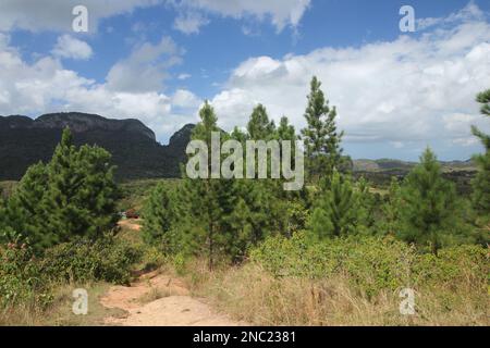 Vue à couper le souffle à Vale de Viñales (vallée de Vinales) dans la province de Pinar del Rio, Cuba Banque D'Images