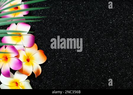 Fond tropical avec fleurs de plumeria dans le sable noir et feuille de palmier Banque D'Images