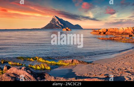 Magnifique paysage d'été. Extraordinaire lever de soleil d'été sur l'île de Sardaigne, Italie, Europe. Belle scène matinale de la plage de Porto Taverna avec le moun de Tavolara Banque D'Images