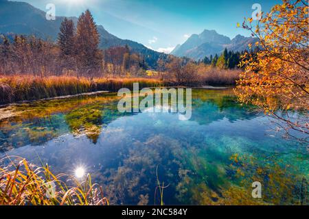 Spectaculaire scène automnale des Alpes Juliennes avec le pic de Kranjska gora en arrière-plan. Vue impressionnante du matin sur la réserve naturelle de Zelenci, Slovénie, Europe. Être Banque D'Images